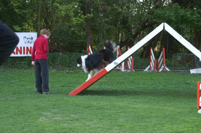 agility 2011-04